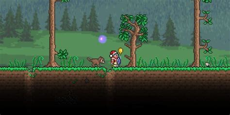 best pet in terraria|Terraria: The 15 Best Pets (And How To Get Them) .